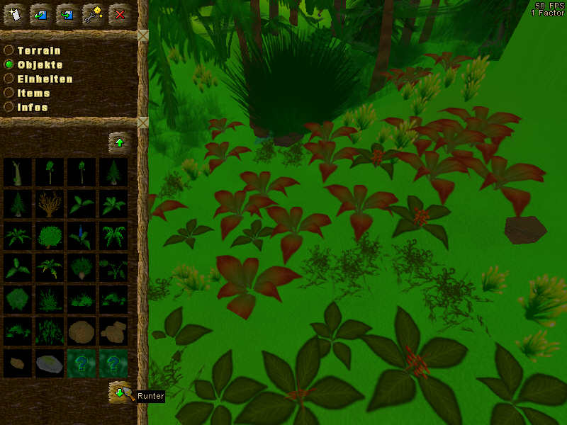 herbs.jpg